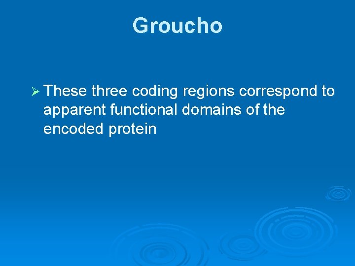 Groucho Ø These three coding regions correspond to apparent functional domains of the encoded