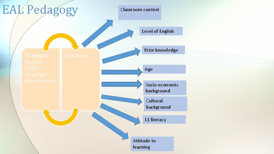 EAL Pedagogy Classroom context Level of English Strategies: Support English language development In context