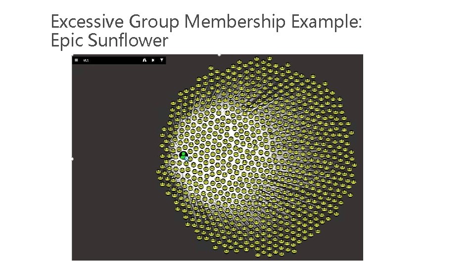 Excessive Group Membership Example: Epic Sunflower 