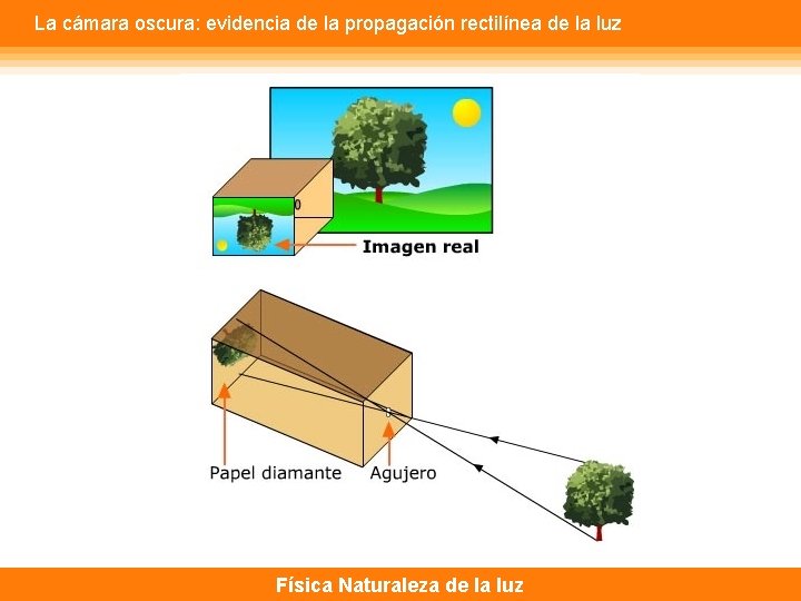 La cámara oscura: evidencia de la propagación rectilínea de la luz Física Naturaleza de