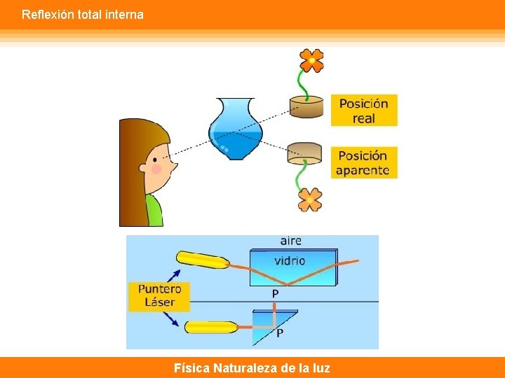 Reflexión total interna Física Naturaleza de la luz 