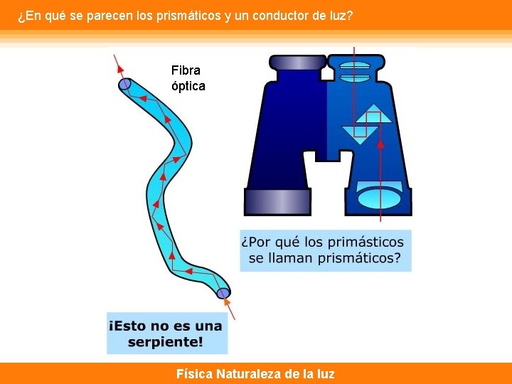 ¿En qué se parecen los prismáticos y un conductor de luz? Fibra óptica Física