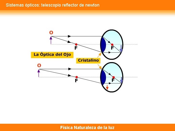 Sistemas ópticos: telescopio reflector de newton Física Naturaleza de la luz 