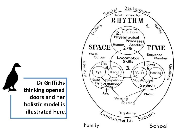 Dr Griffiths thinking opened doors and her holistic model is illustrated here. 