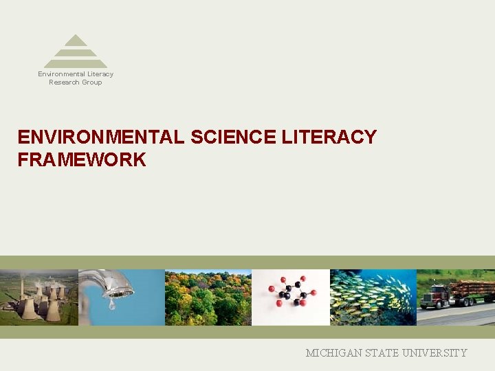 Environmental Literacy Research Group ENVIRONMENTAL SCIENCE LITERACY FRAMEWORK MICHIGAN STATE UNIVERSITY 