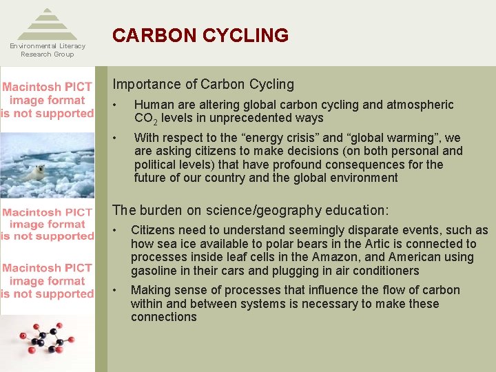 Environmental Literacy Research Group CARBON CYCLING Importance of Carbon Cycling • Human are altering