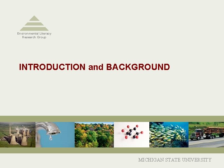 Environmental Literacy Research Group INTRODUCTION and BACKGROUND MICHIGAN STATE UNIVERSITY 