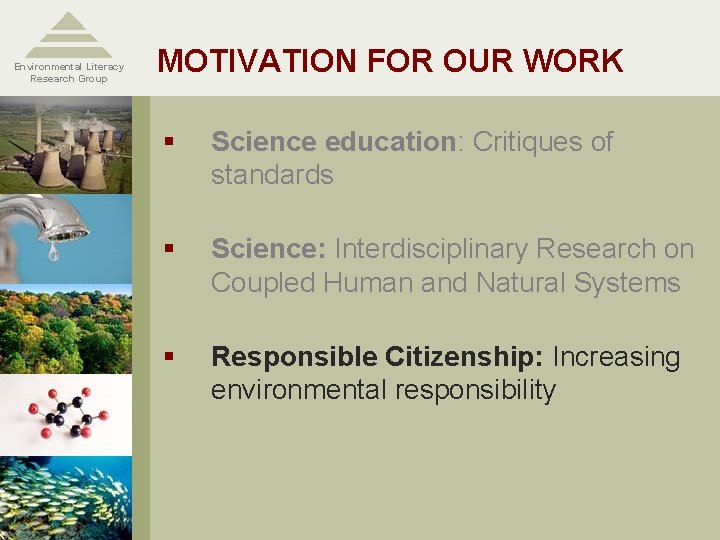 Environmental Literacy Research Group MOTIVATION FOR OUR WORK § Science education: Critiques of standards