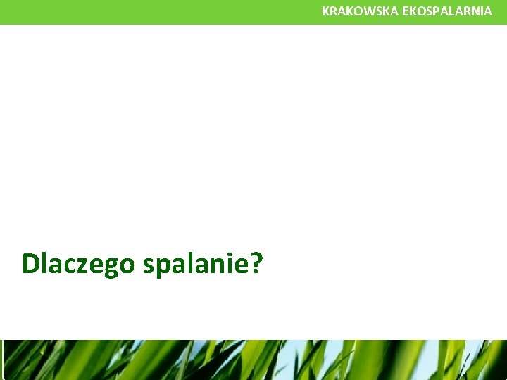 KRAKOWSKA EKOSPALARNIA Dlaczego spalanie? 