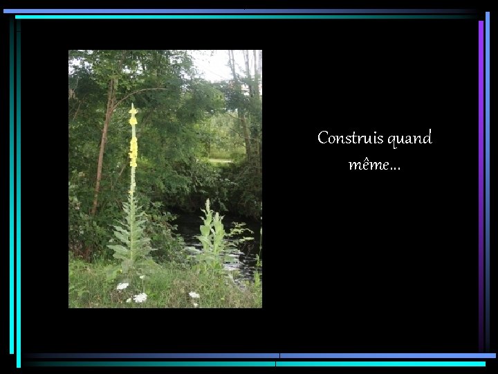 Construis quand même. . . 