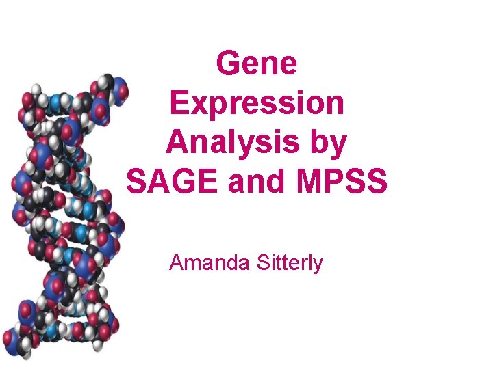 Gene Expression Analysis by SAGE and MPSS Amanda Sitterly 