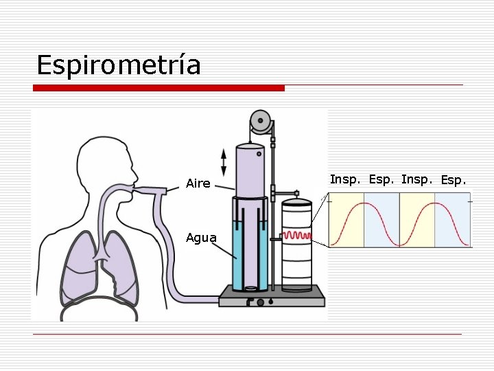 Espirometría Aire Agua Insp. Esp. 