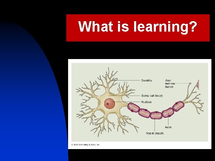 What is learning? 