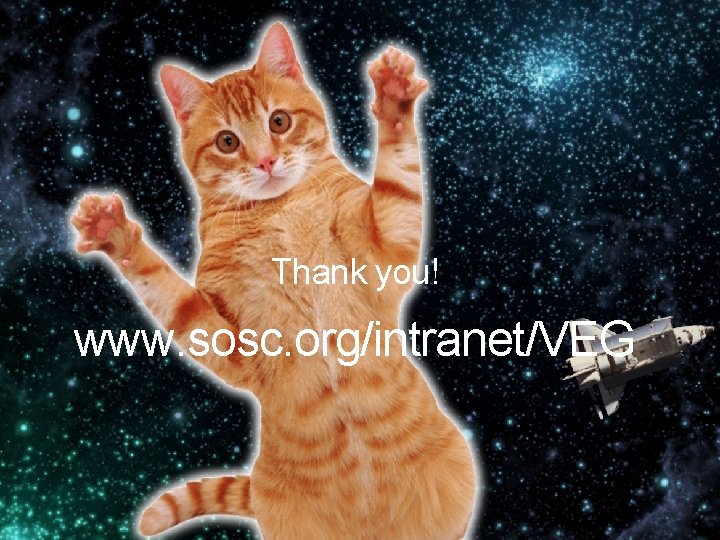 Thank you! www. sosc. org/intranet/VEG 27 