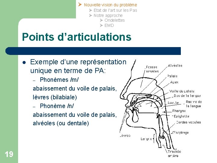 Ø Nouvelle vision du problème Ø Etat de l’art sur les Pas Ø Notre