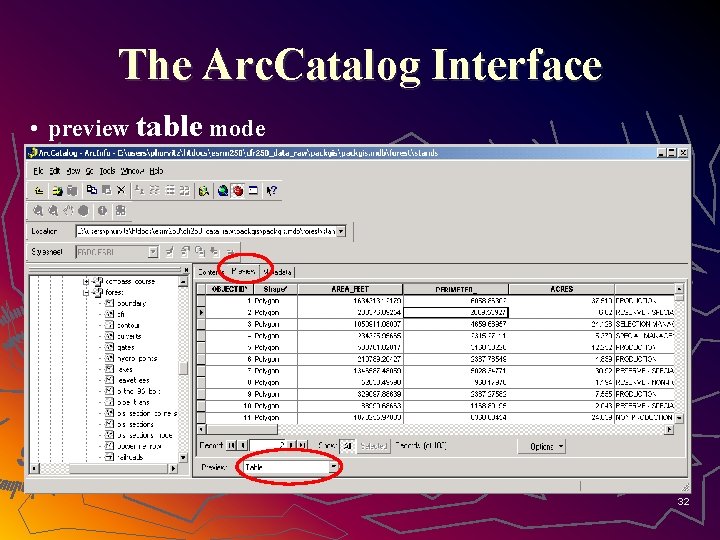 The Arc. Catalog Interface • preview table mode 32 