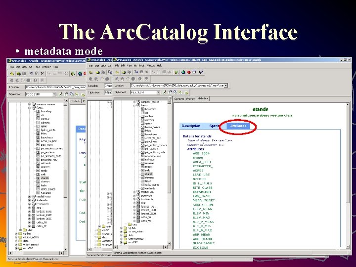 The Arc. Catalog Interface • metadata mode 33 