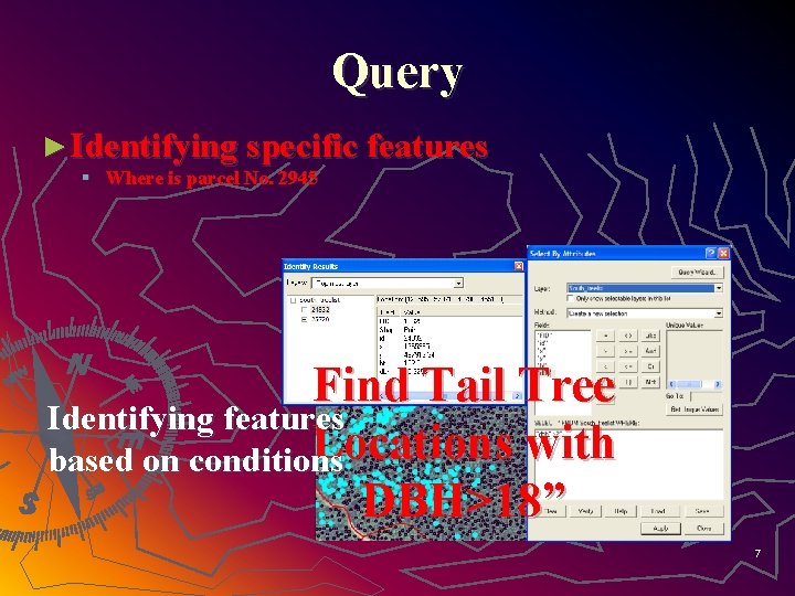 Query ► Identifying specific features § Where is parcel No. 2945 Find Tail Tree