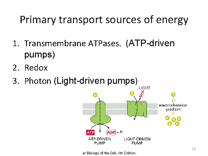 Primary transport sources of energy 1. Transmembrane ATPases. (ATP-driven pumps) 2. Redox 3. Photon Primary transport sources of energy 1. Transmembrane ATPases. (ATP-driven pumps) 2. Redox 3. Photon