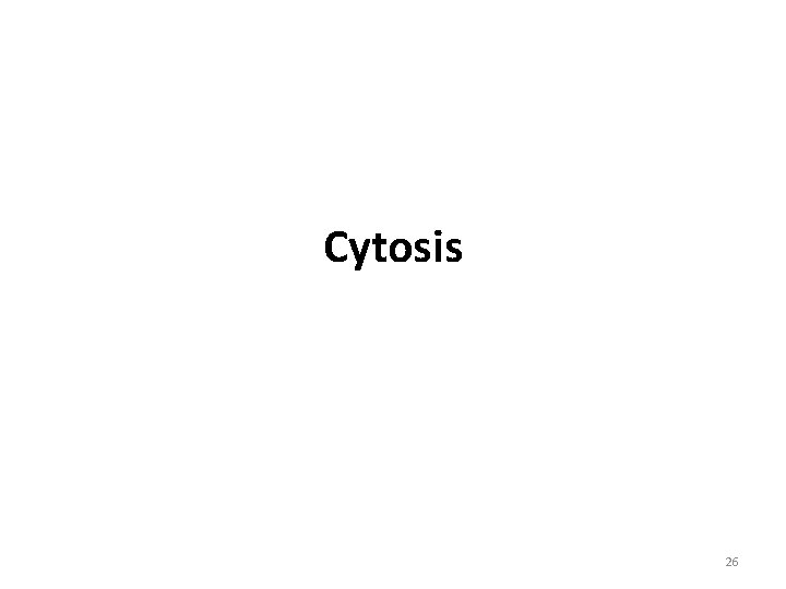 Cytosis 26 Cytosis 26