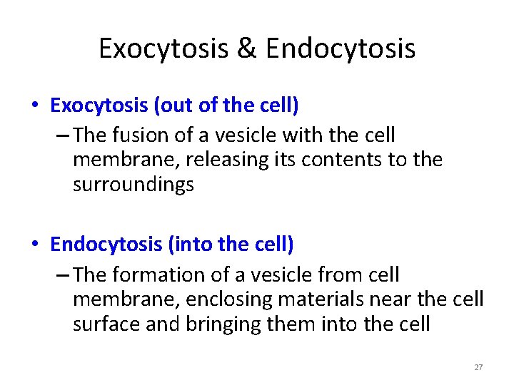 Exocytosis & Endocytosis • Exocytosis (out of the cell) – The fusion of a Exocytosis & Endocytosis • Exocytosis (out of the cell) – The fusion of a