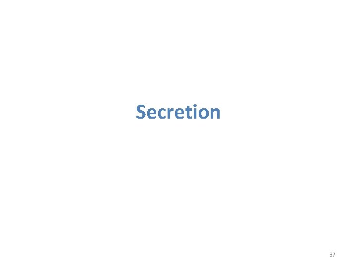 Secretion 37 Secretion 37