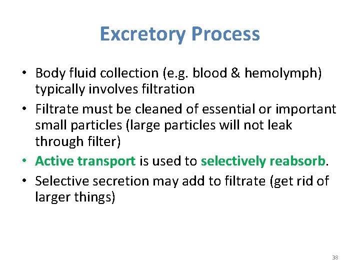 Excretory Process • Body fluid collection (e. g. blood & hemolymph) typically involves filtration Excretory Process • Body fluid collection (e. g. blood & hemolymph) typically involves filtration