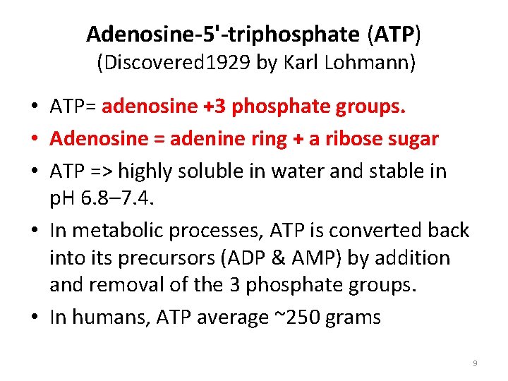 Adenosine-5'-triphosphate (ATP) (Discovered 1929 by Karl Lohmann) • ATP= adenosine +3 phosphate groups. • Adenosine-5'-triphosphate (ATP) (Discovered 1929 by Karl Lohmann) • ATP= adenosine +3 phosphate groups. •