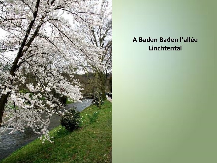 A Baden l'allée Linchtental 