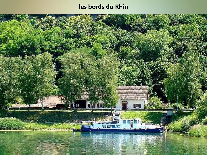 les bords du Rhin 