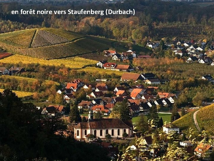 en forêt noire vers Staufenberg (Durbach) 