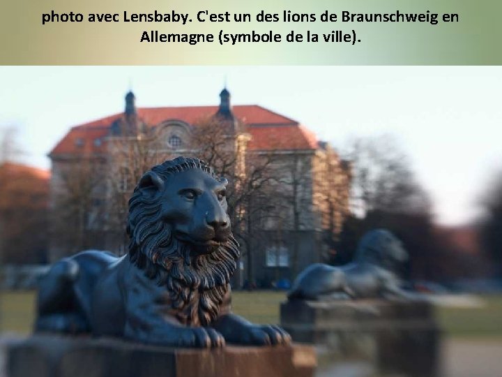 photo avec Lensbaby. C'est un des lions de Braunschweig en Allemagne (symbole de la