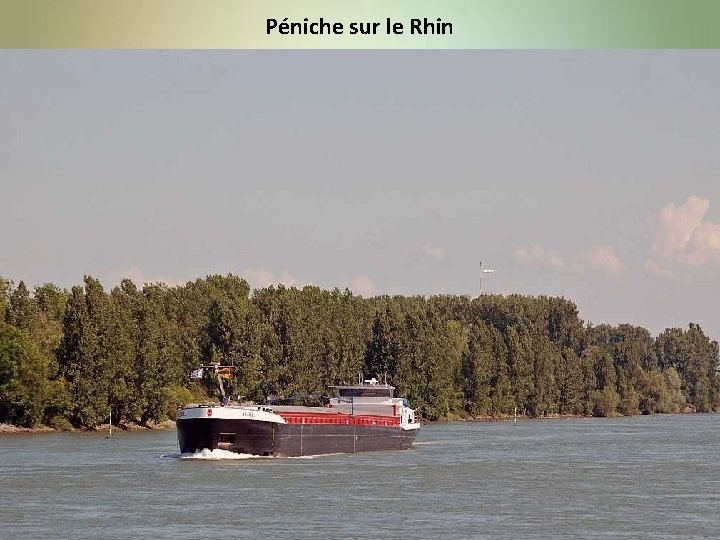 Péniche sur le Rhin 