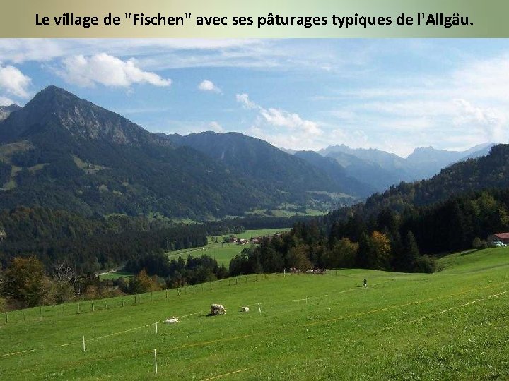 Le village de "Fischen" avec ses pâturages typiques de l'Allgäu. 