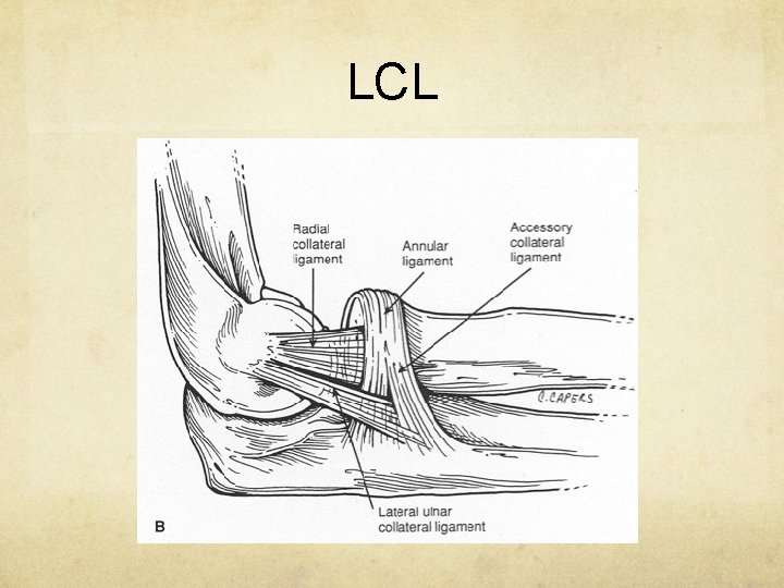 LCL LCL