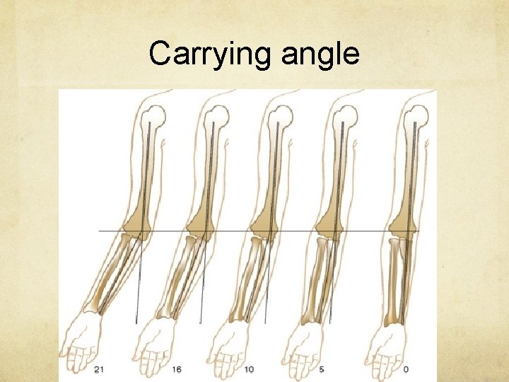 Carrying angle Carrying angle