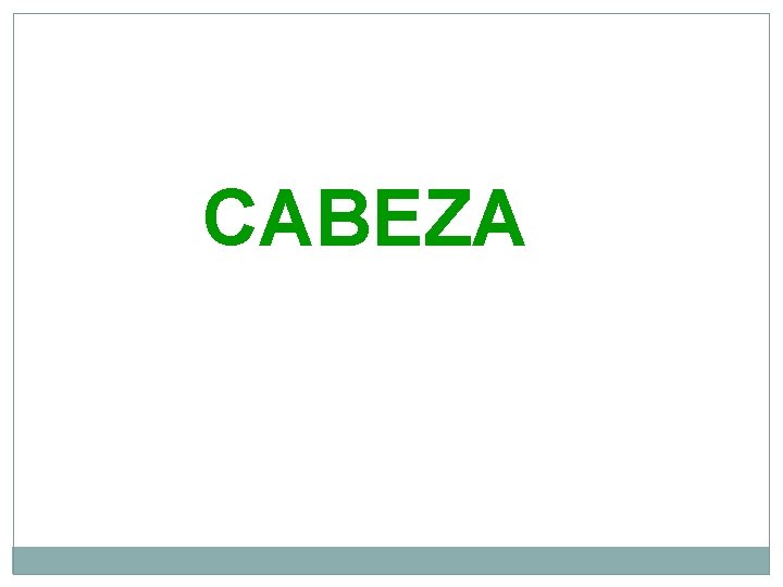 CABEZA 