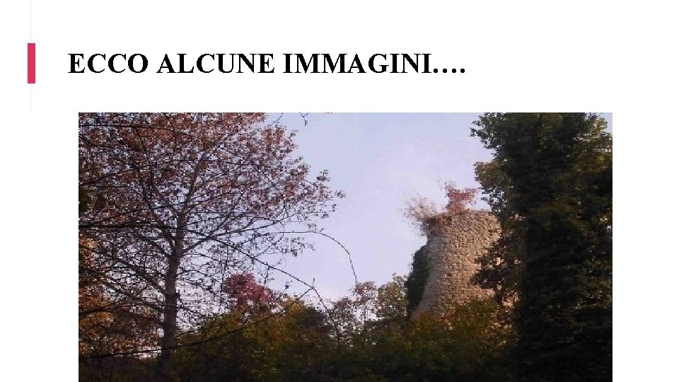 ECCO ALCUNE IMMAGINI…. 