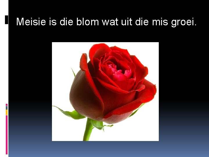 Meisie is die blom wat uit die mis groei. 