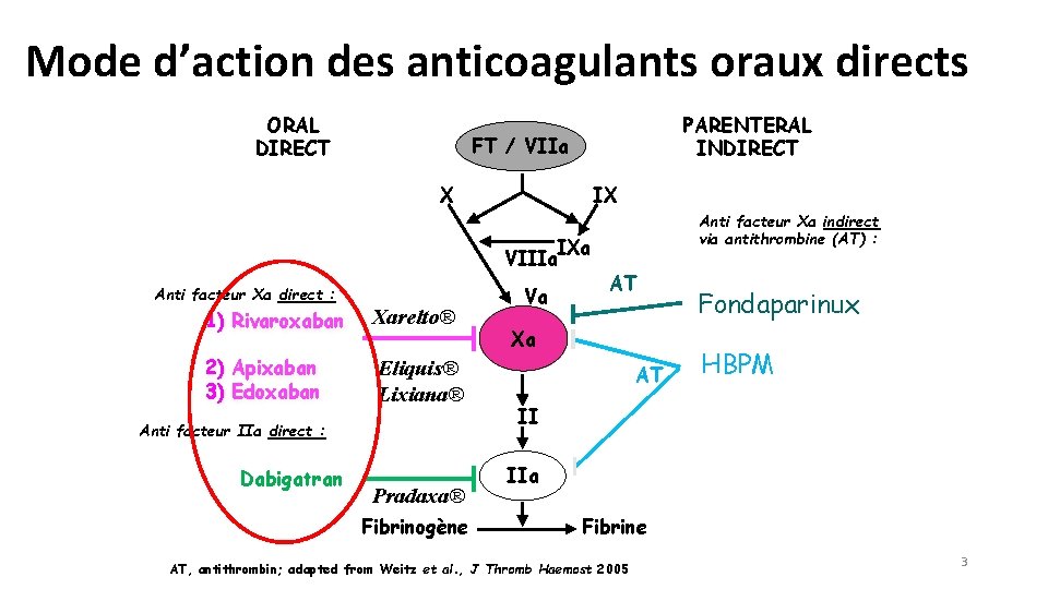 Mode d’action des anticoagulants oraux directs ORAL DIRECT PARENTERAL INDIRECT FT / VIIa X