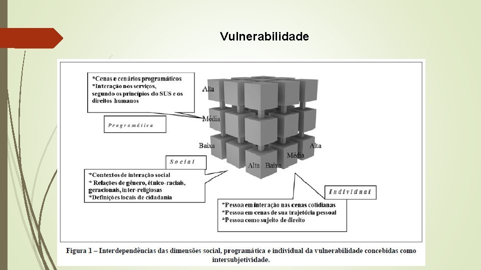 Vulnerabilidade 