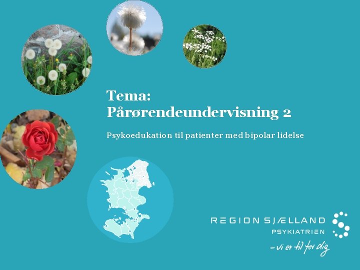 Tema: Pårørendeundervisning 2 Psykoedukation til patienter med bipolar lidelse 