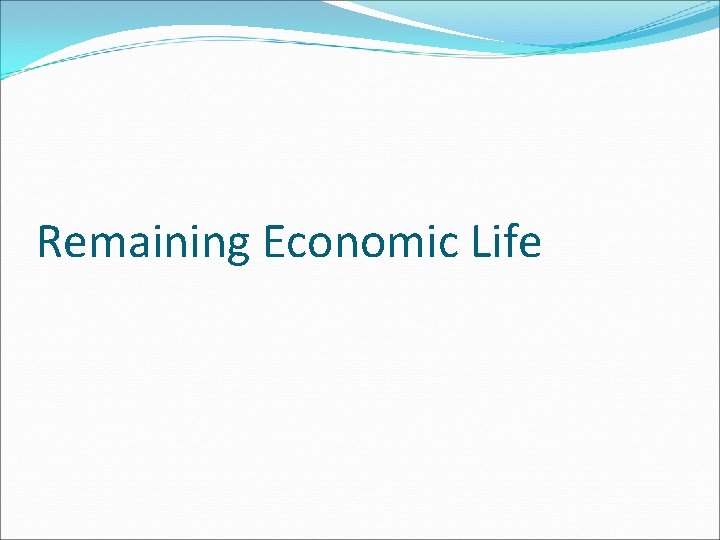 Remaining Economic Life 