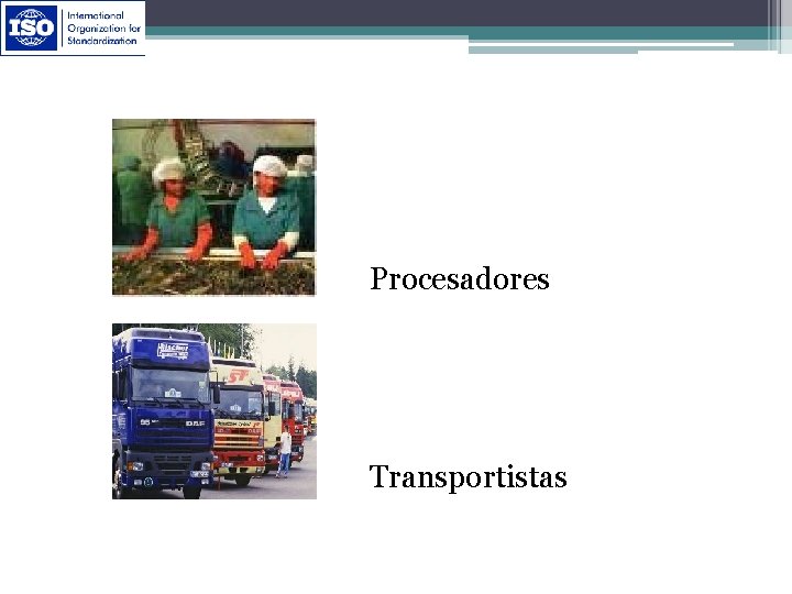 Procesadores Transportistas 