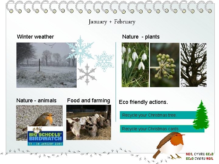 January + February Winter weather Nature - animals Nature - plants Food and farming