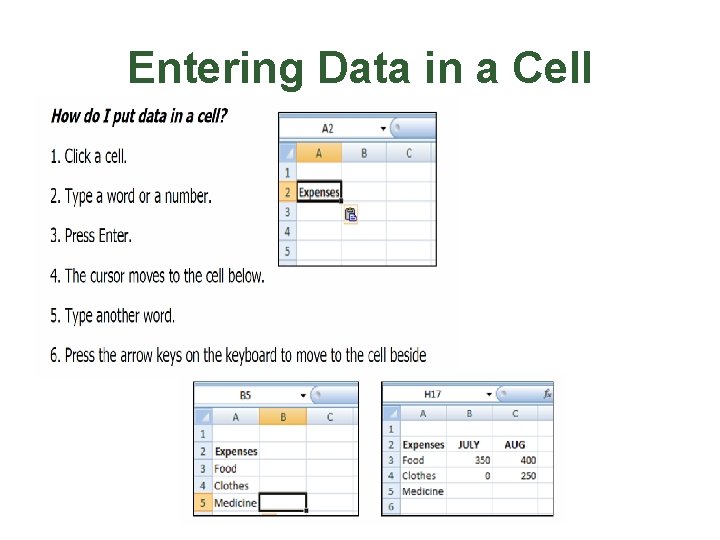 Entering Data in a Cell 