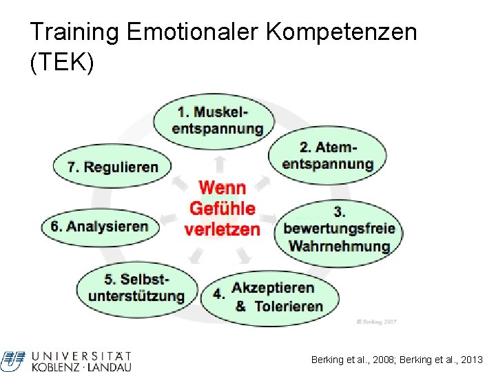 Training Emotionaler Kompetenzen (TEK) Berking et al. , 2008; Berking et al. , 2013