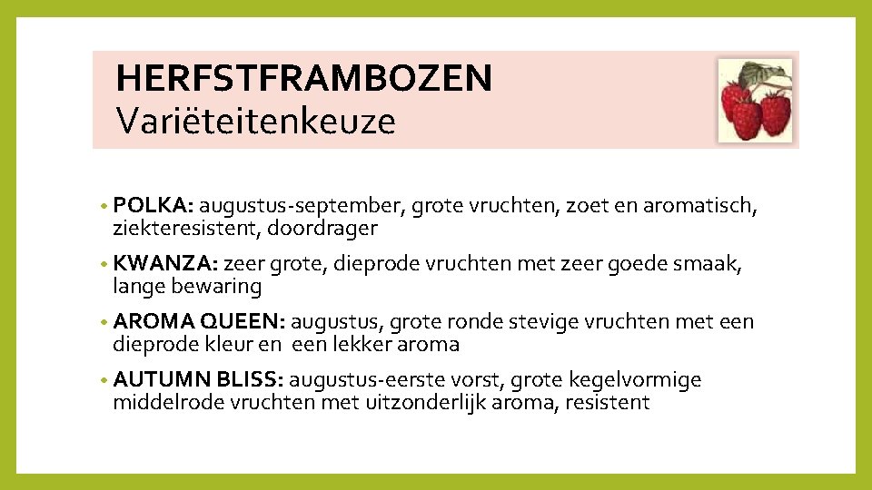  HERFSTFRAMBOZEN Variëteitenkeuze • POLKA: augustus‐september, grote vruchten, zoet en aromatisch, ziekteresistent, doordrager •