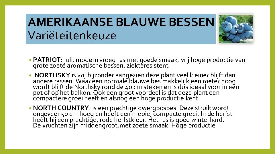 AMERIKAANSE BLAUWE BESSEN Variëteitenkeuze • PATRIOT: juli, modern vroeg ras met goede smaak, vrij