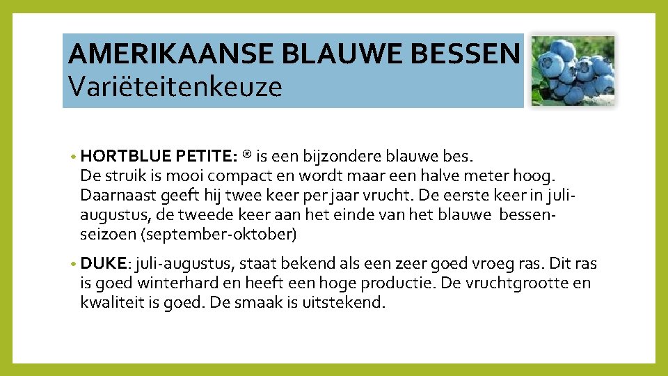 AMERIKAANSE BLAUWE BESSEN Variëteitenkeuze • HORTBLUE PETITE: ® is een bijzondere blauwe bes. De